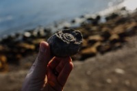 A close up of someone holding a rock in their hand as they stand on the beach