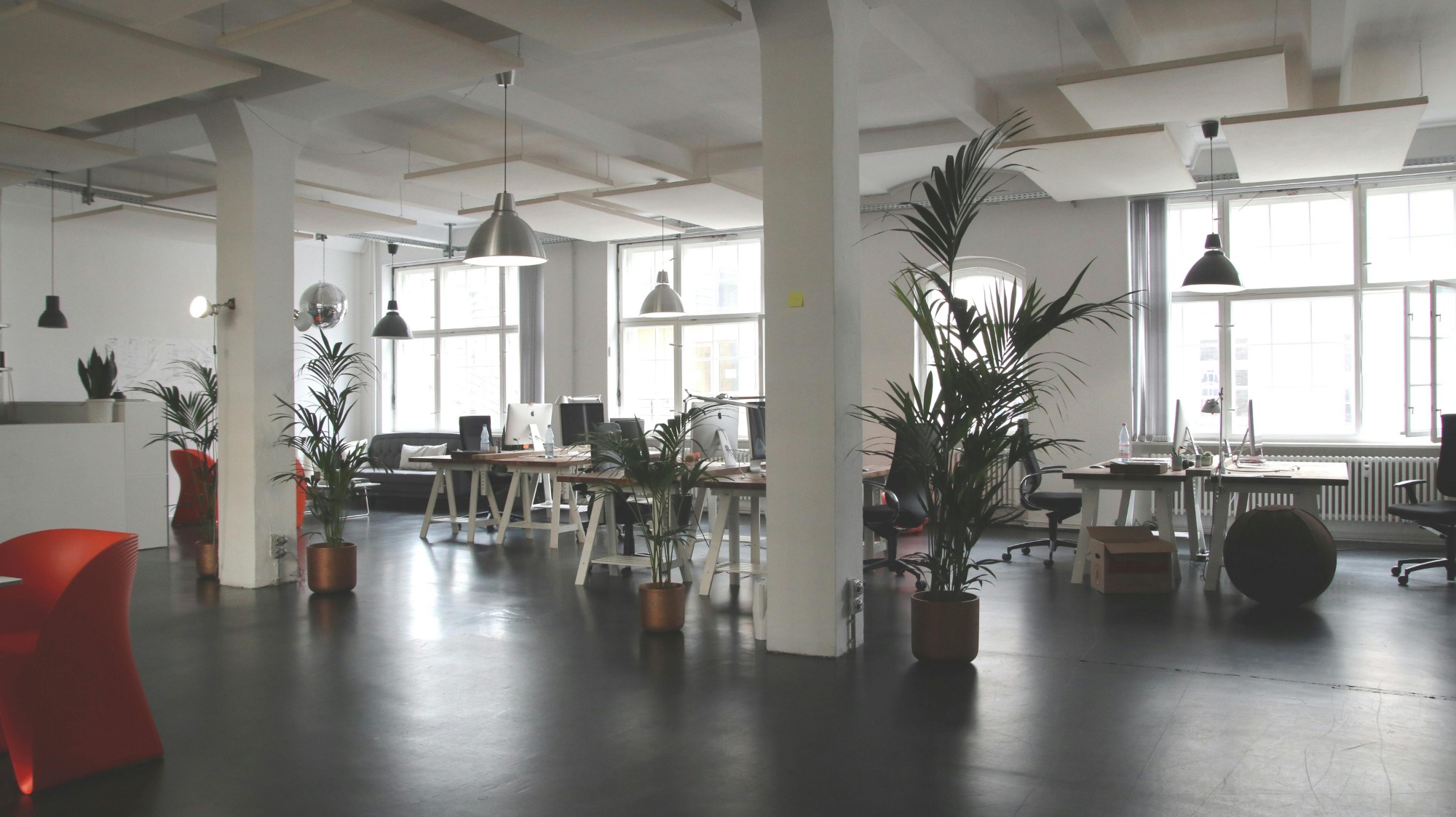 An open office space filled with greenery, featuring numerous plants that enhance the work environment.