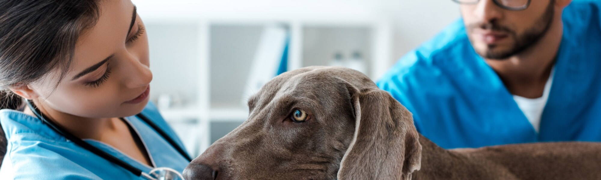Banner Default Image