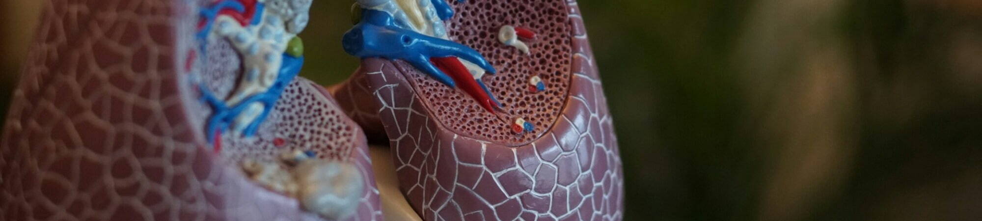 Image 2025 12 02 T14 25 59